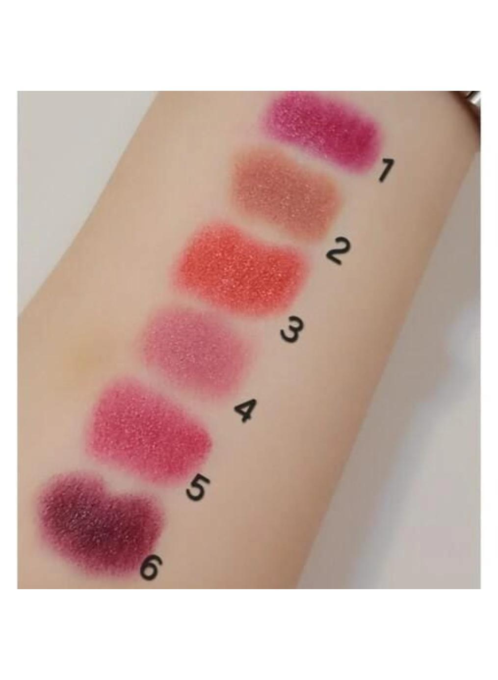 2 In 1 High Pigmented Lipstick- Pack Of 6
